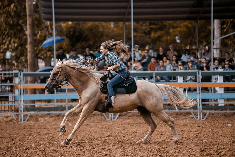 Engaging Shows