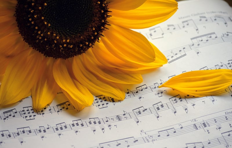 Live Music