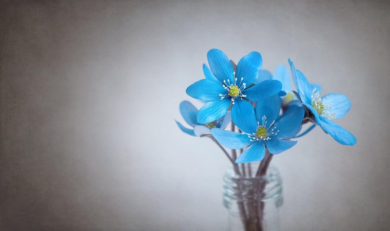 Floral Arrangement